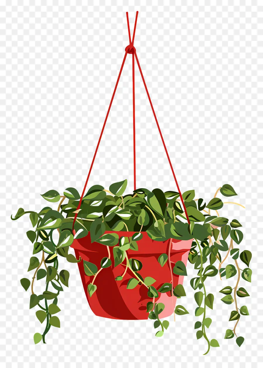 Cabide De Plantas，Planta Suspensa PNG