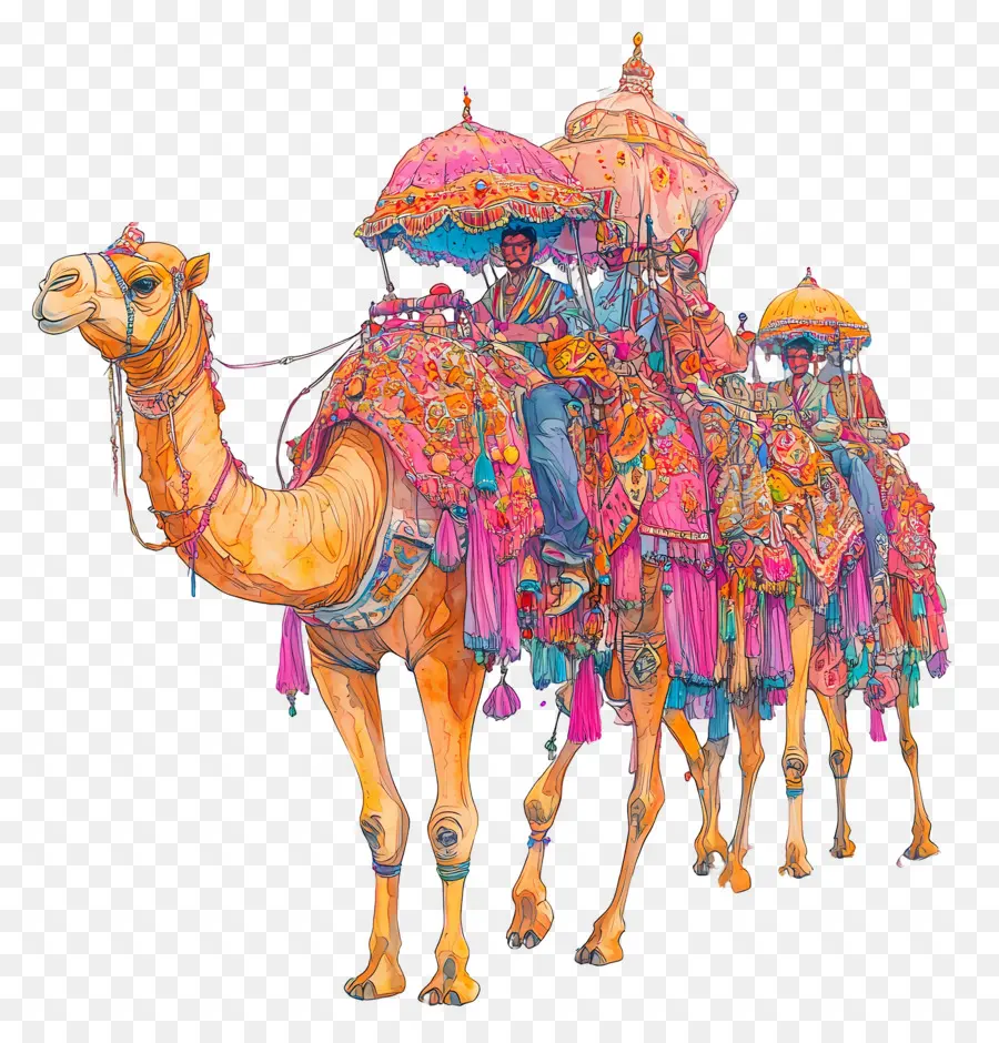 Feira De Camelos De Pushkar，Camelos Decorados PNG