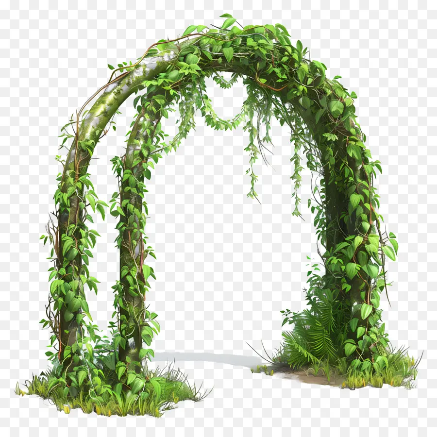 Arco Do Jardim，Arco Verde PNG