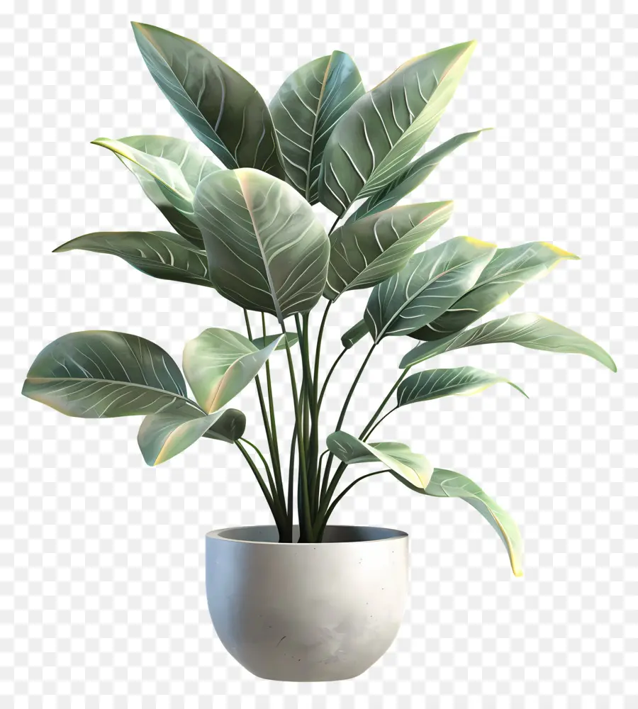 Planta De Casa Interna，Planta Em Vaso Verde PNG