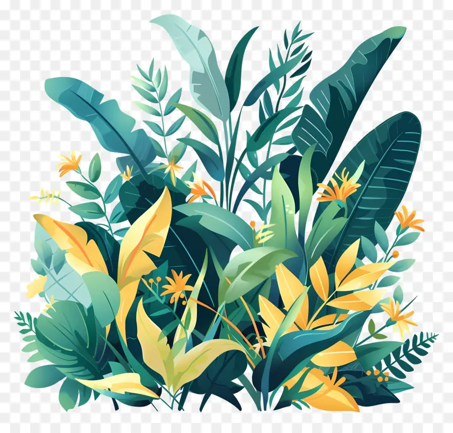 Plantas Da Selva，Plantas Coloridas PNG