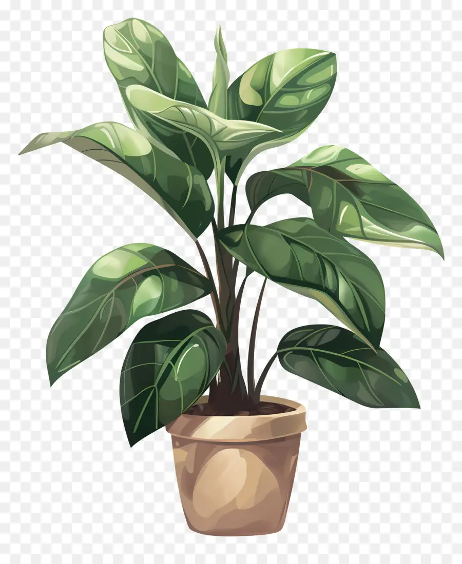 Planta De Casa Interna，Planta Em Vaso Verde PNG