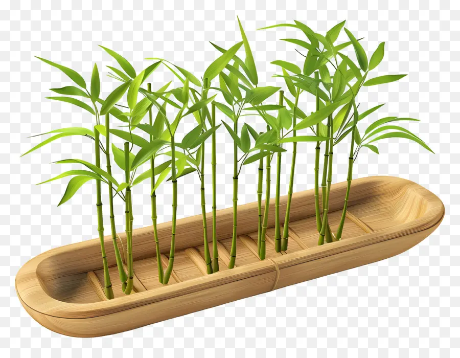 Bandeja De Bambu，Plantas De Bambu PNG