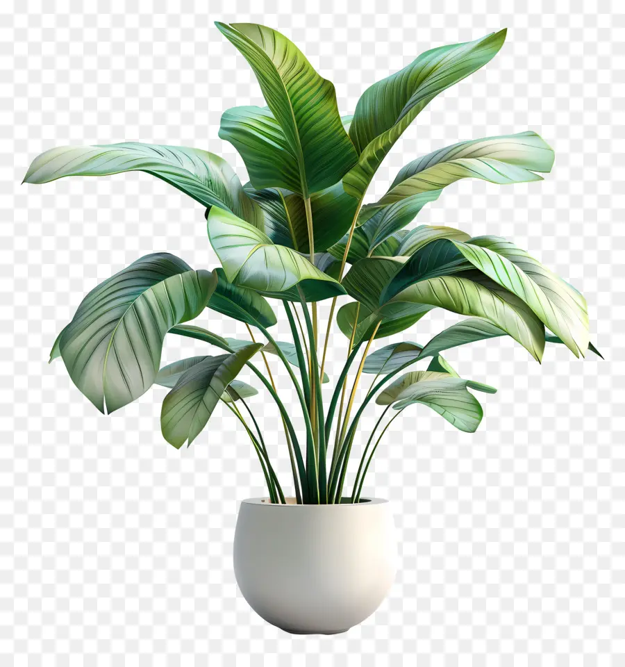 Planta De Casa Interna，Planta Em Vaso Verde PNG