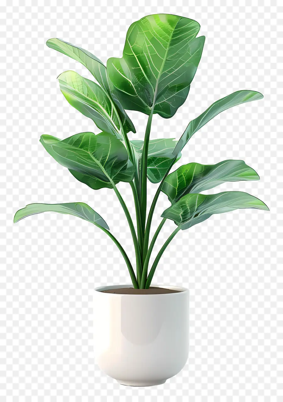 Planta De Casa Interna，Planta Em Vaso Verde PNG