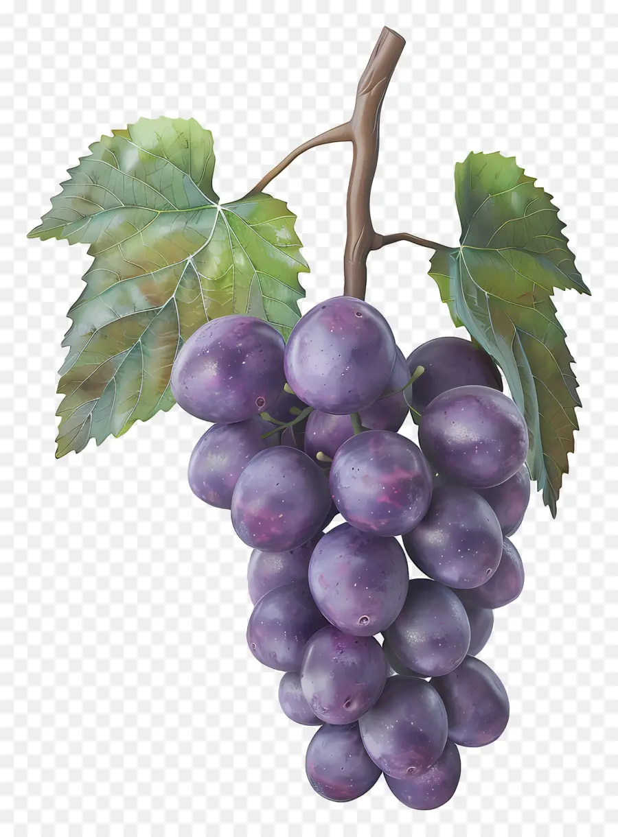 Cacho De Uvas，Uvas Roxas PNG