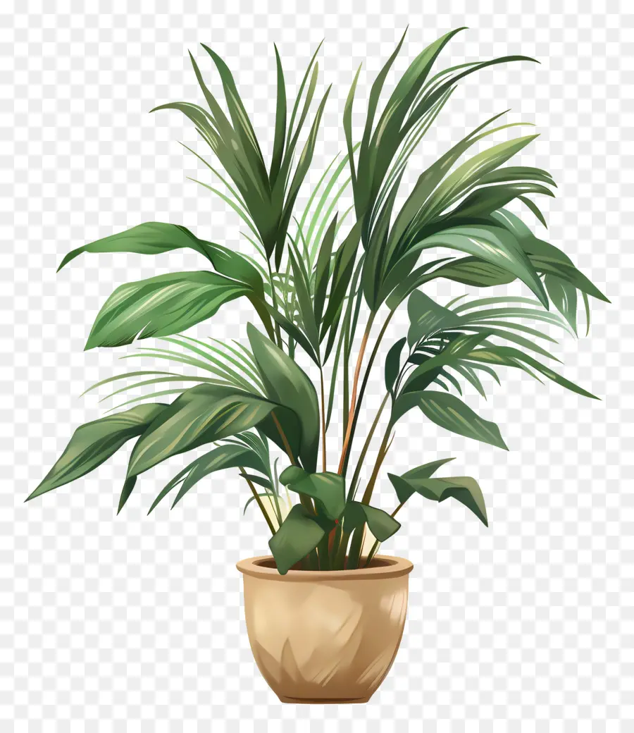 Planta De Casa Interna，Planta Em Vaso PNG