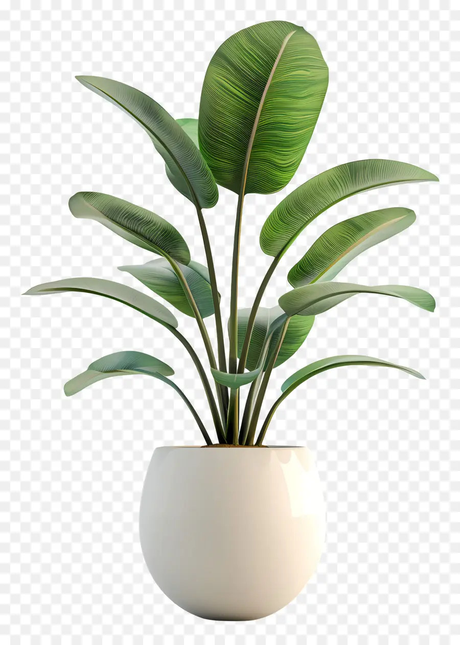 Planta De Casa Interna，Planta Em Vaso Verde PNG