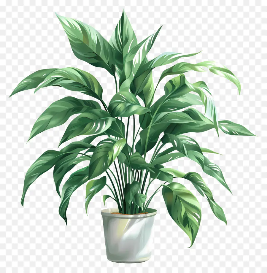 Planta De Casa Interna，Planta Em Vaso Verde PNG