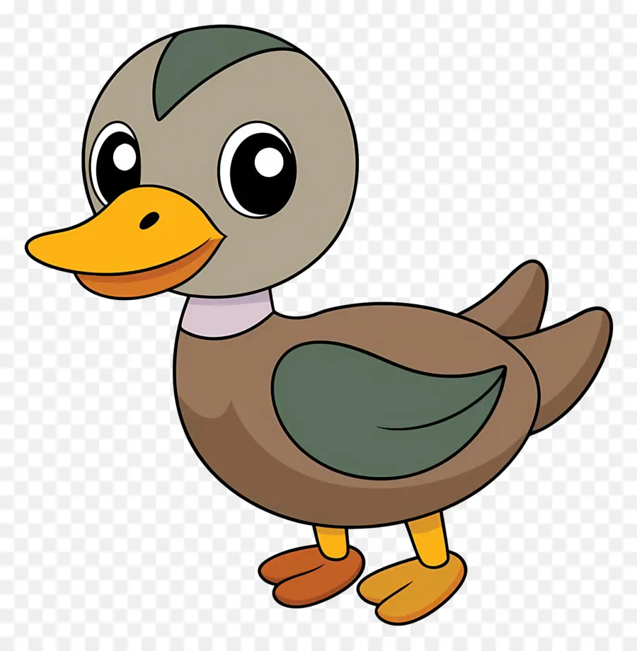 Pato De Desenho Animado，Pato PNG