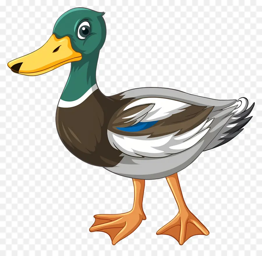 Pato De Desenho Animado，Pato PNG