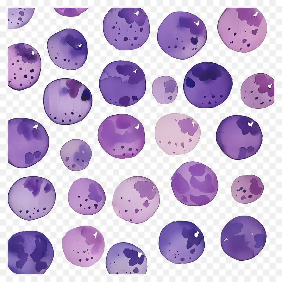 Fundo Roxo，Pontos Roxos PNG