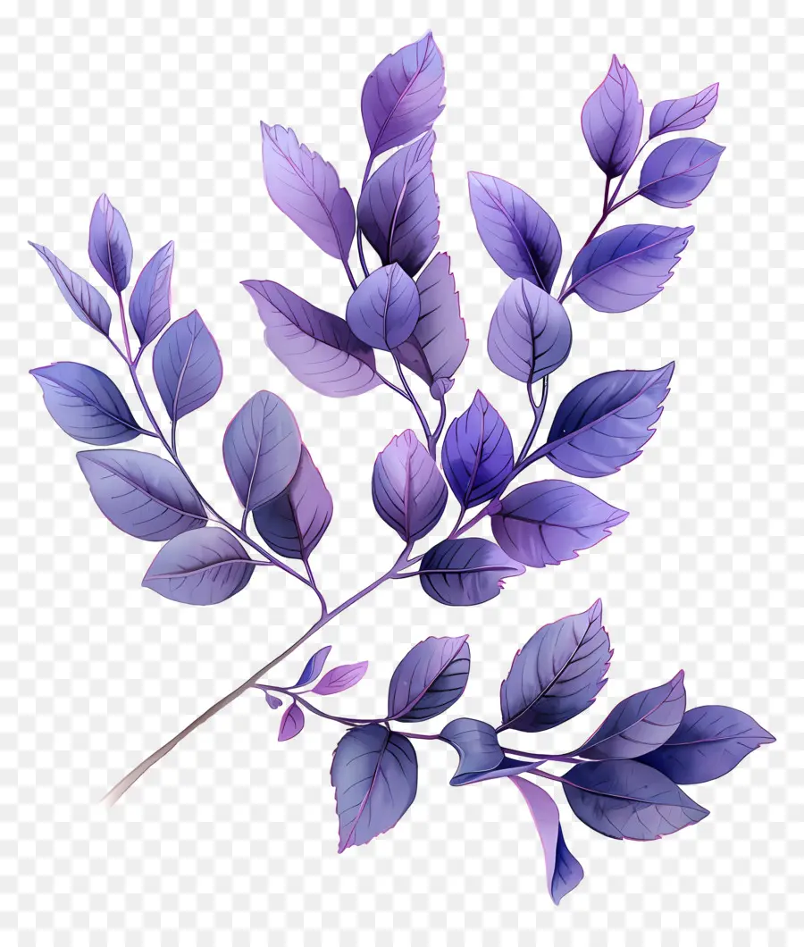 Fundo Roxo，Planta Escura PNG