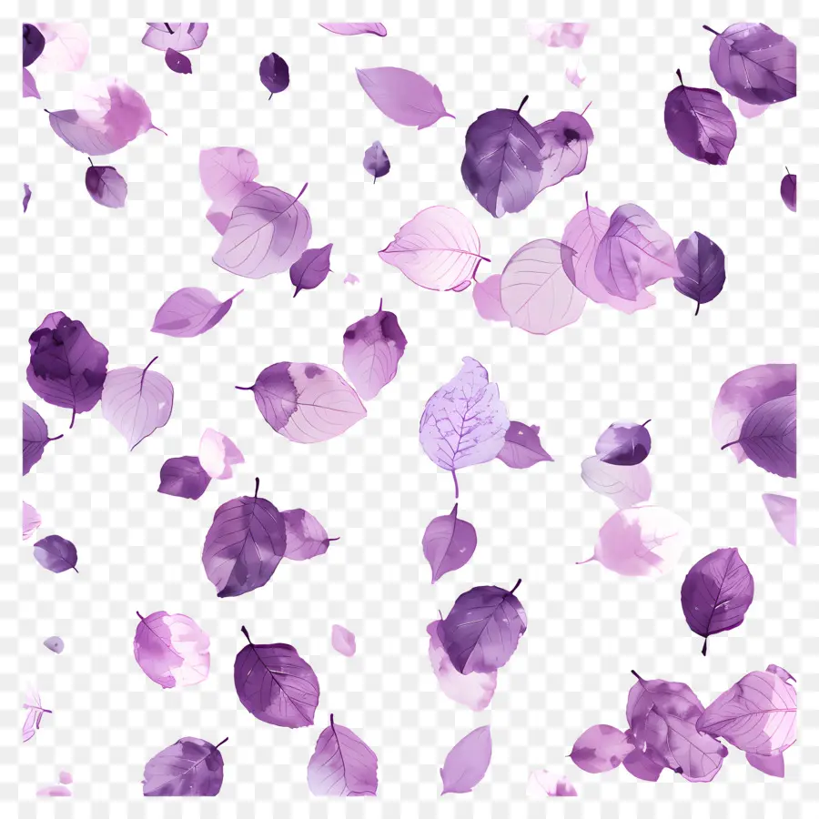 Fundo Roxo，Folhas Roxas PNG