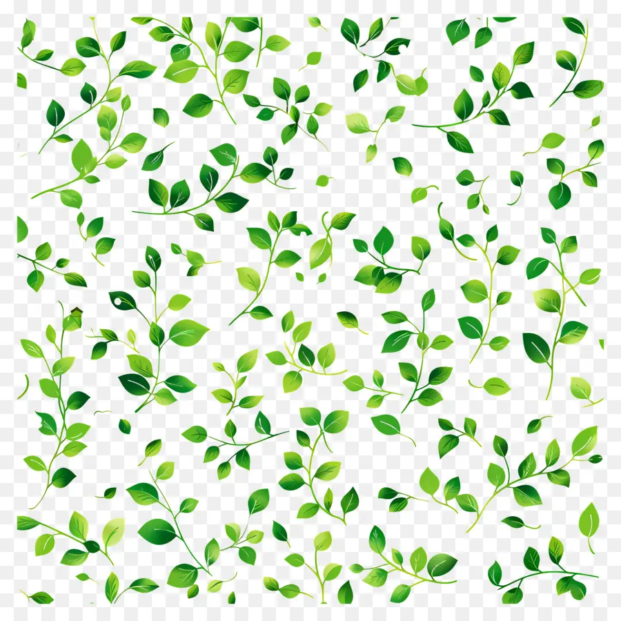 Fundo Verde，Folhas Verdes PNG