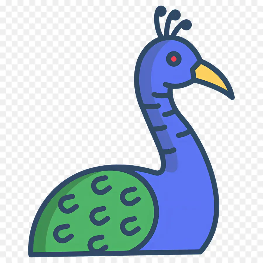 Pavão，Pavão De Desenho Animado PNG