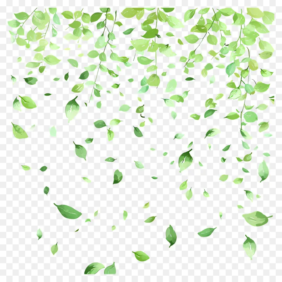 Fundo Verde，Folhas Verdes PNG