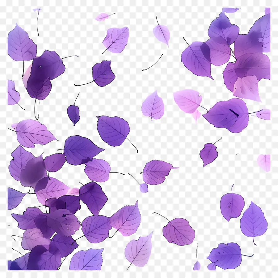 Fundo Roxo，Folhas Roxas PNG