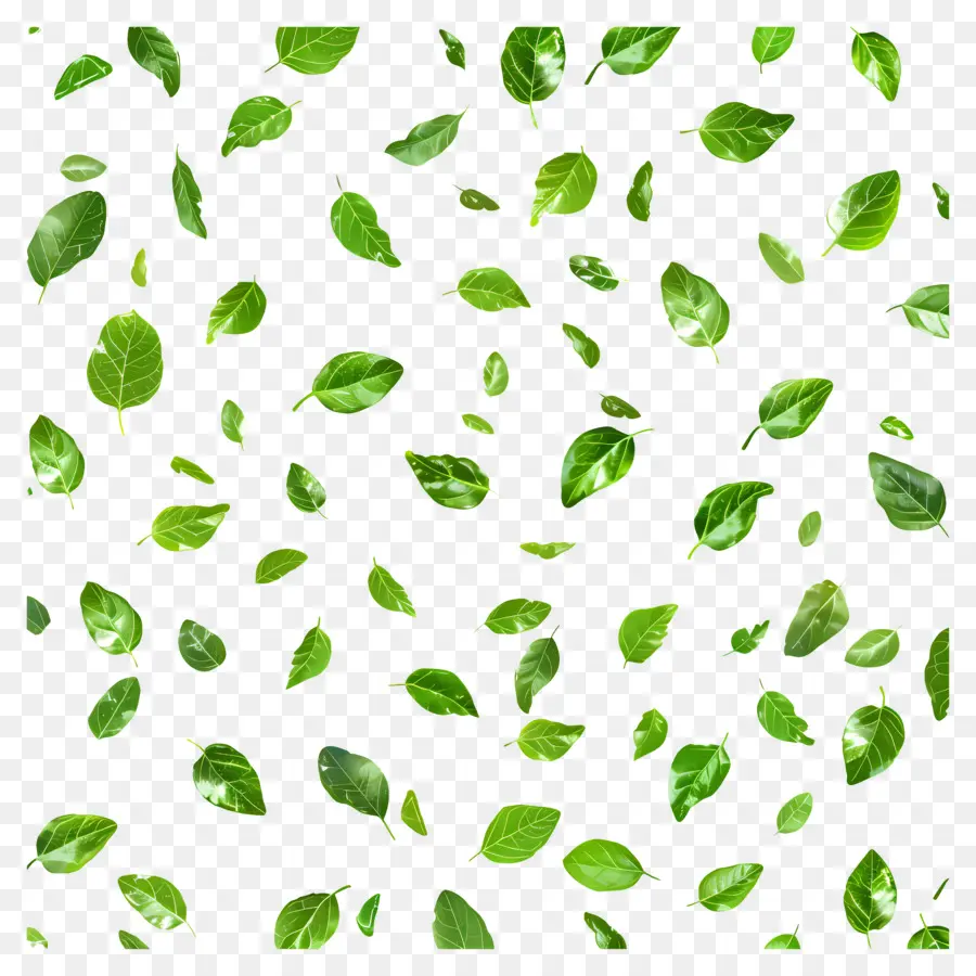 Fundo Verde，Folhas Verdes PNG