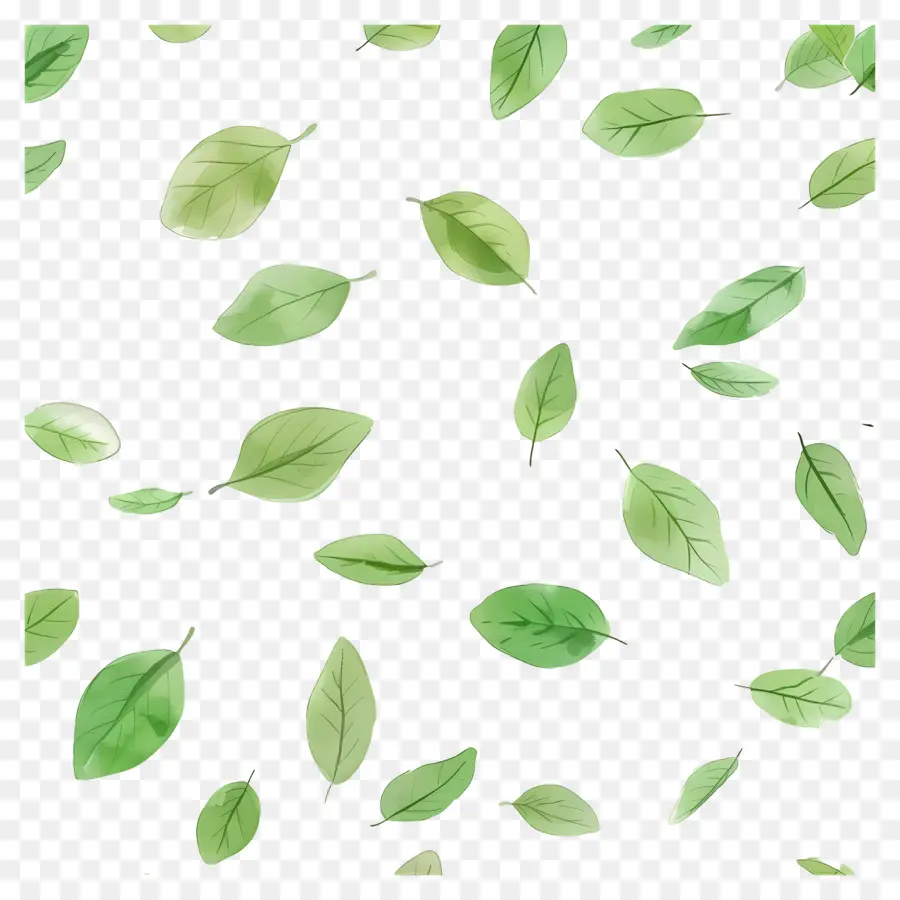 Fundo Verde，Folhas Verdes PNG