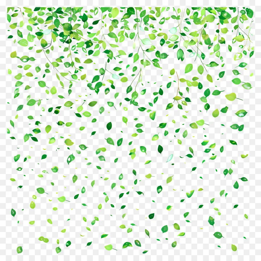 Fundo Verde，Folhas Verdes PNG