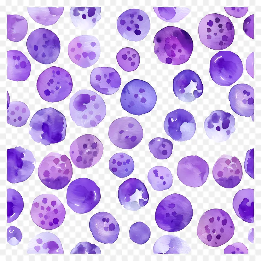 Fundo Roxo，Pontos Roxos PNG