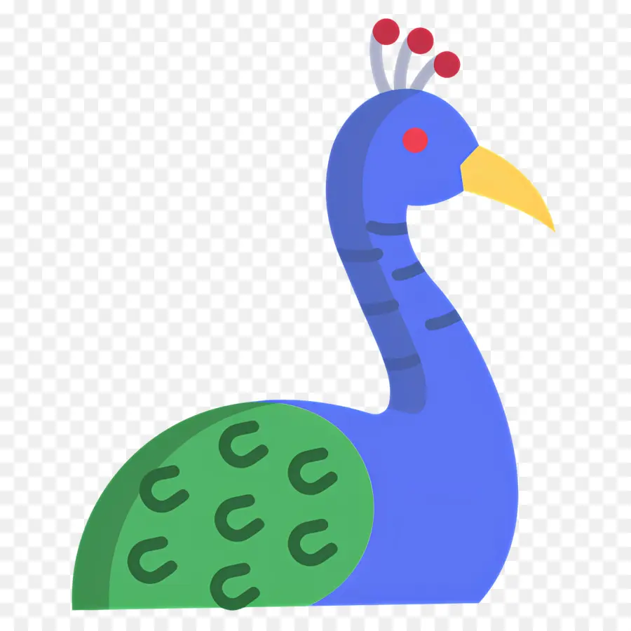 Pavão，Pássaro PNG