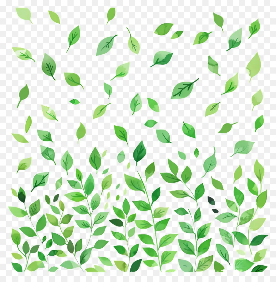 Fundo Verde，Folhas Verdes PNG