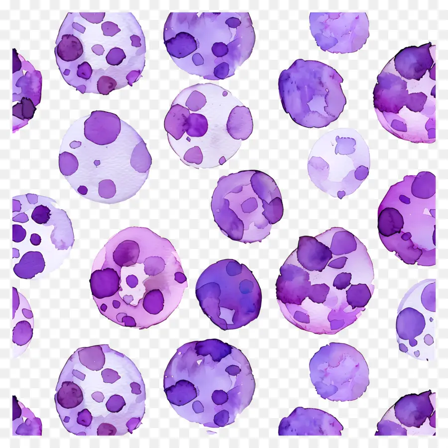 Fundo Roxo，Pontos Roxos PNG