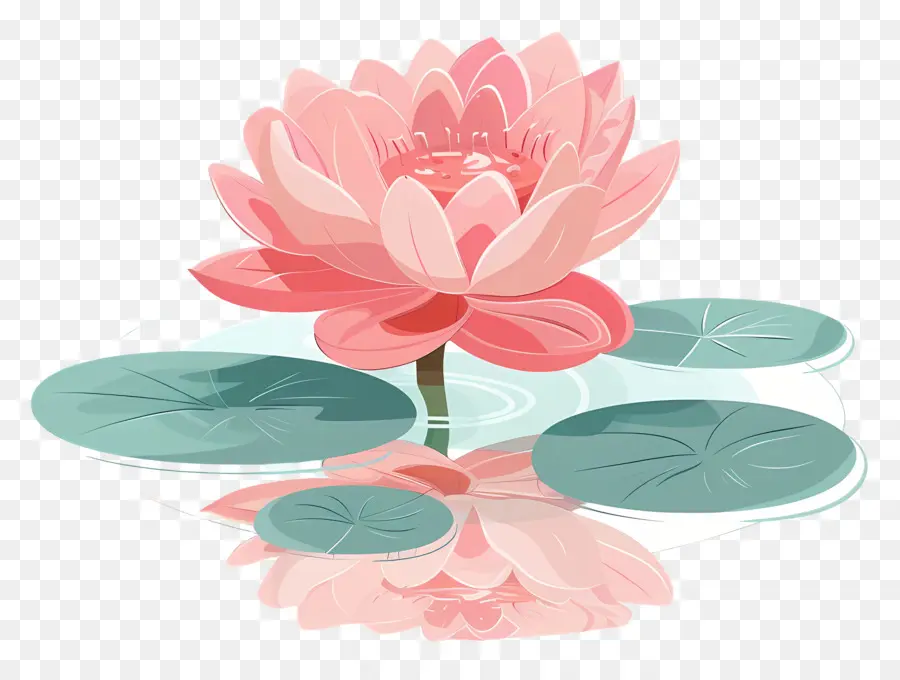 Lagoa De Lótus，Flor De Lótus PNG