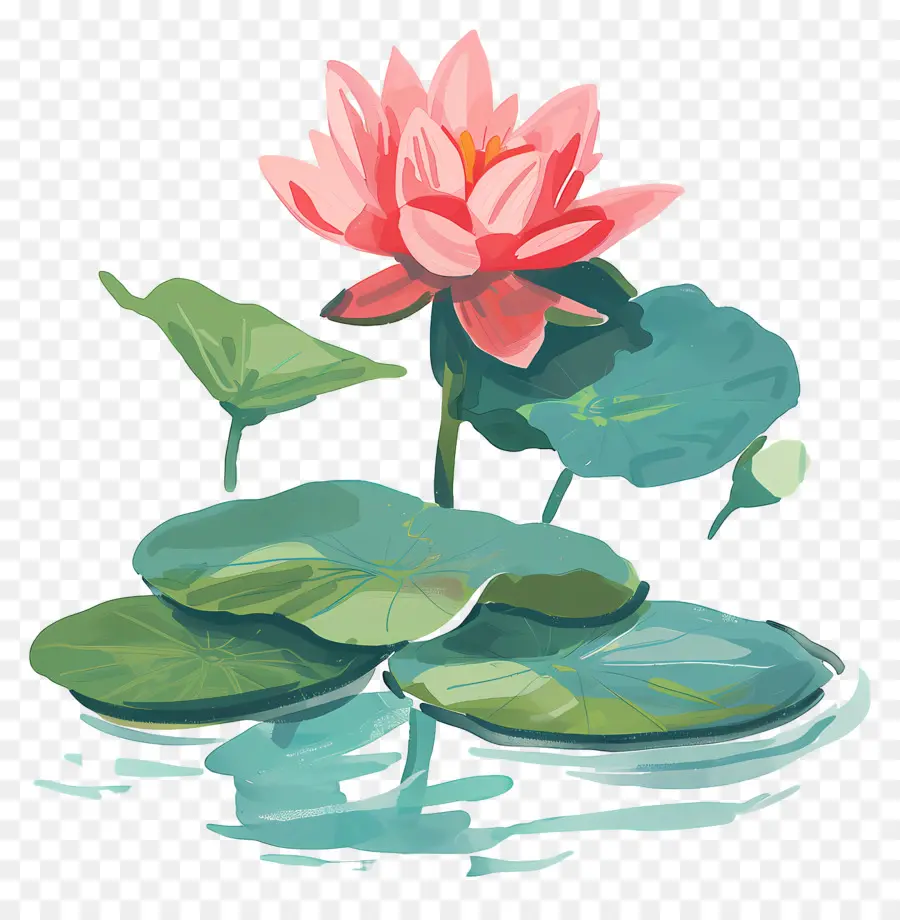 Lagoa De Lótus，Flor De Lótus PNG