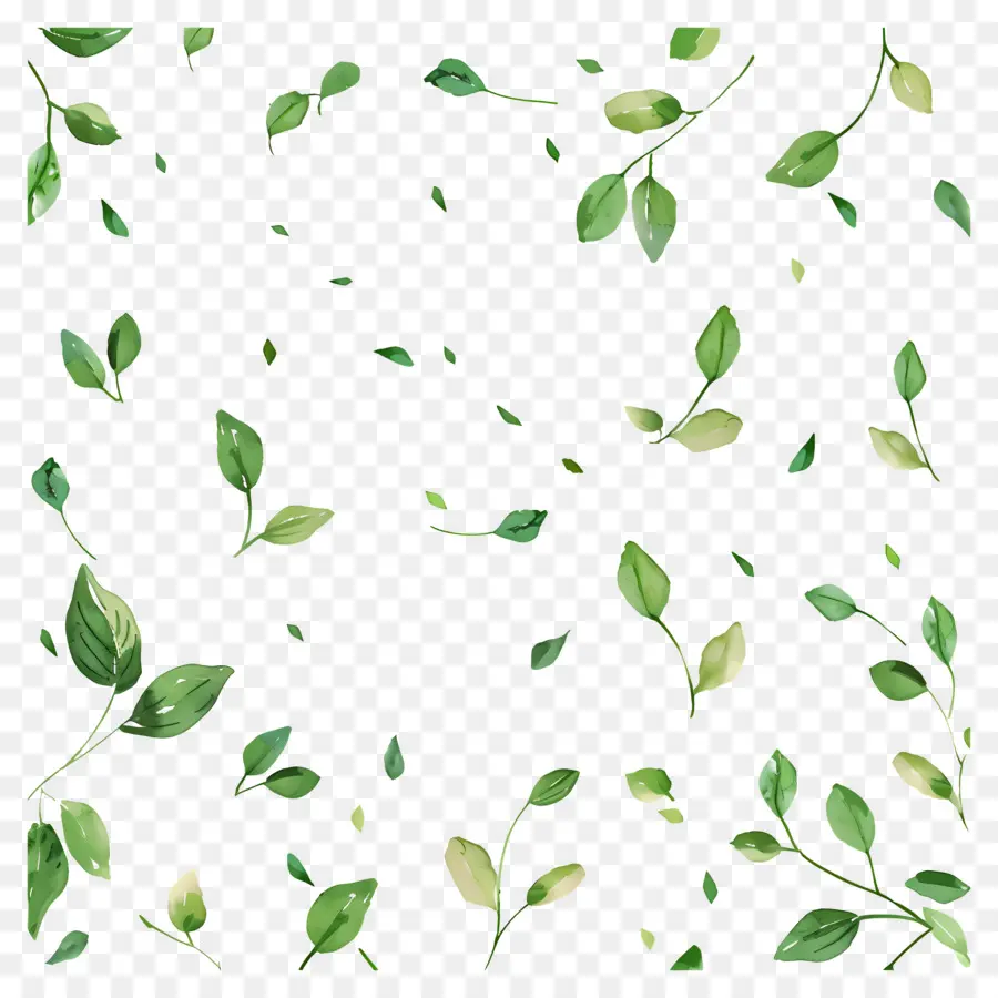 Fundo Verde，Folhas Verdes PNG