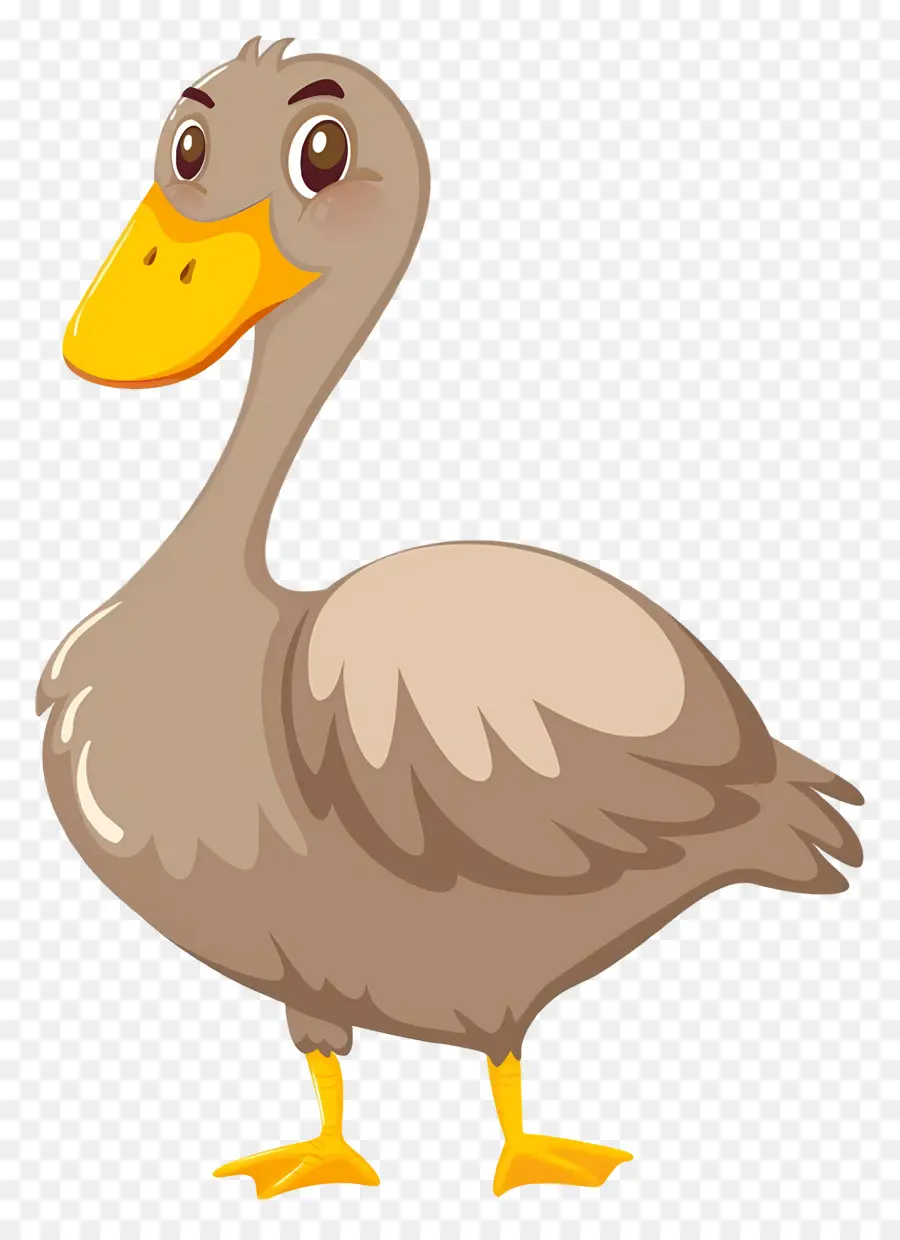 Pato De Desenho Animado，Pato PNG