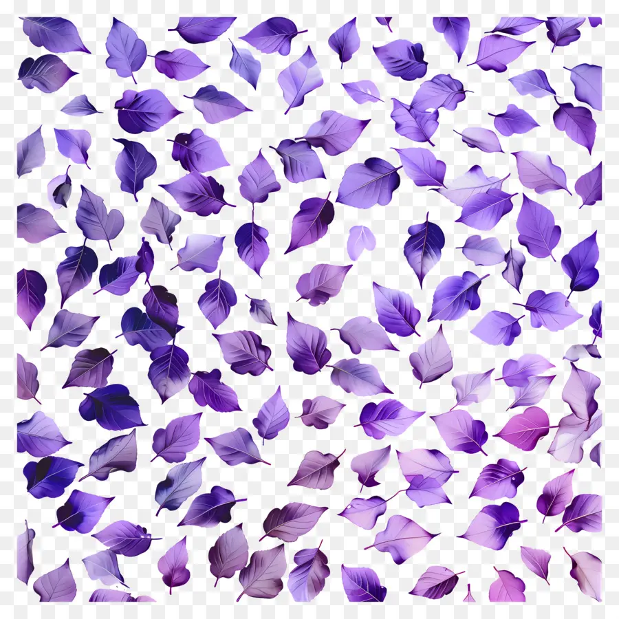 Fundo Roxo，Folhas Roxas PNG