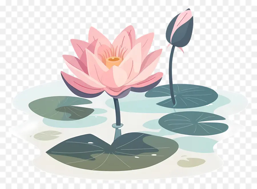 Lagoa De Lótus，Flor De Lótus PNG