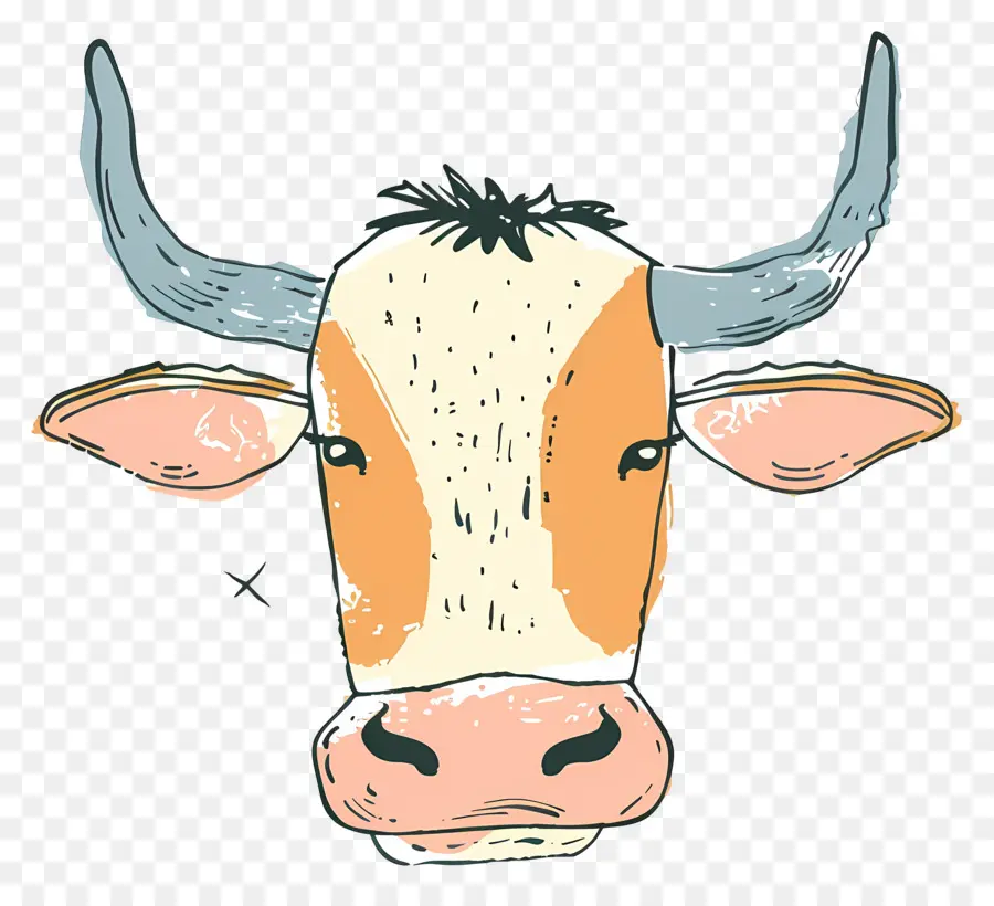 Cara De Touro，Vaca Colorida PNG