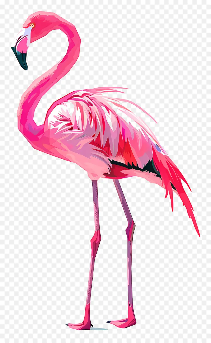 Flamingo，Flamingo Rosa PNG