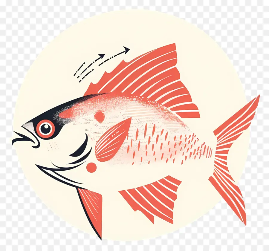 Peixe，Peixe Vermelho PNG