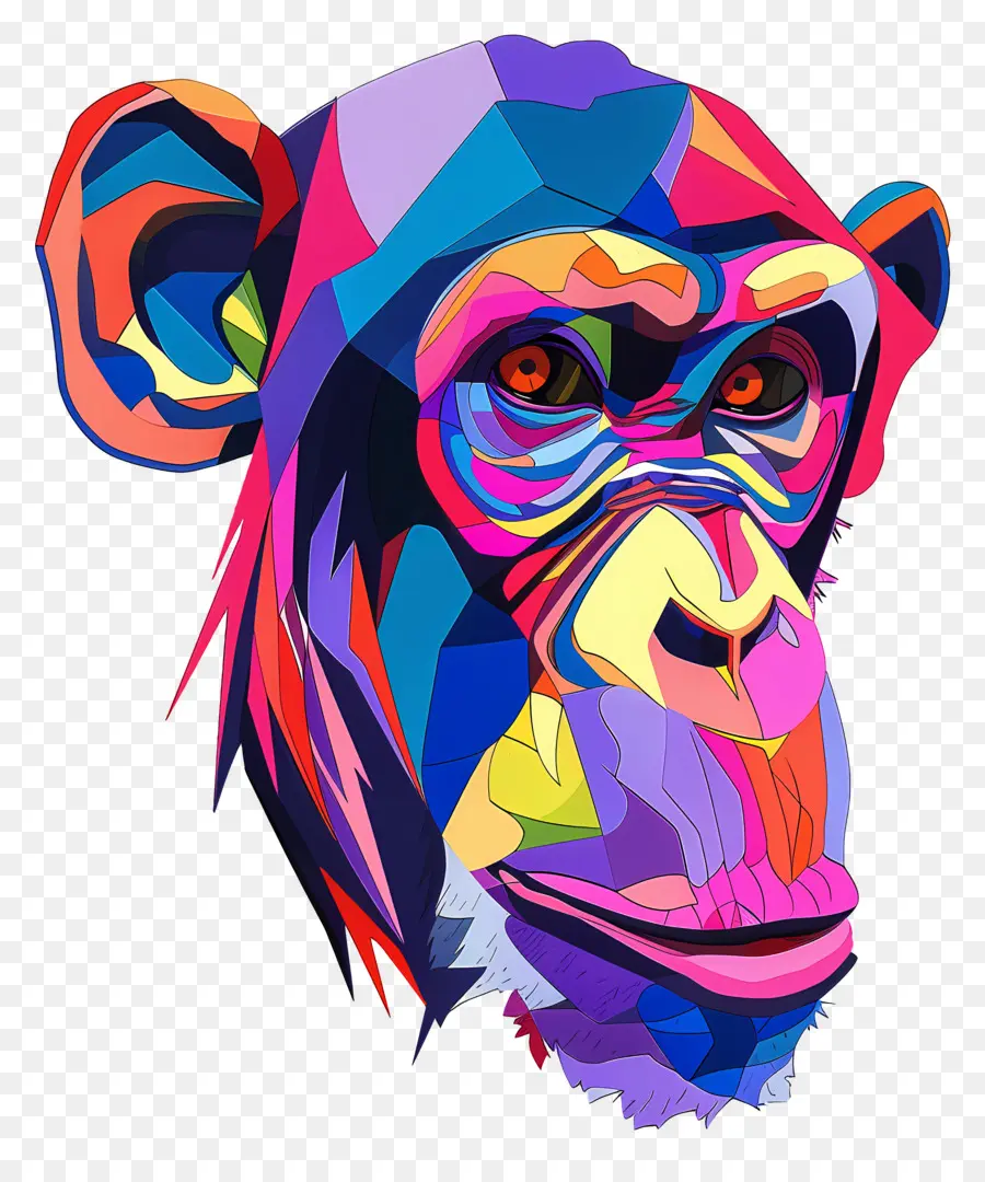 Cara De Babuíno，Macaco Colorido PNG