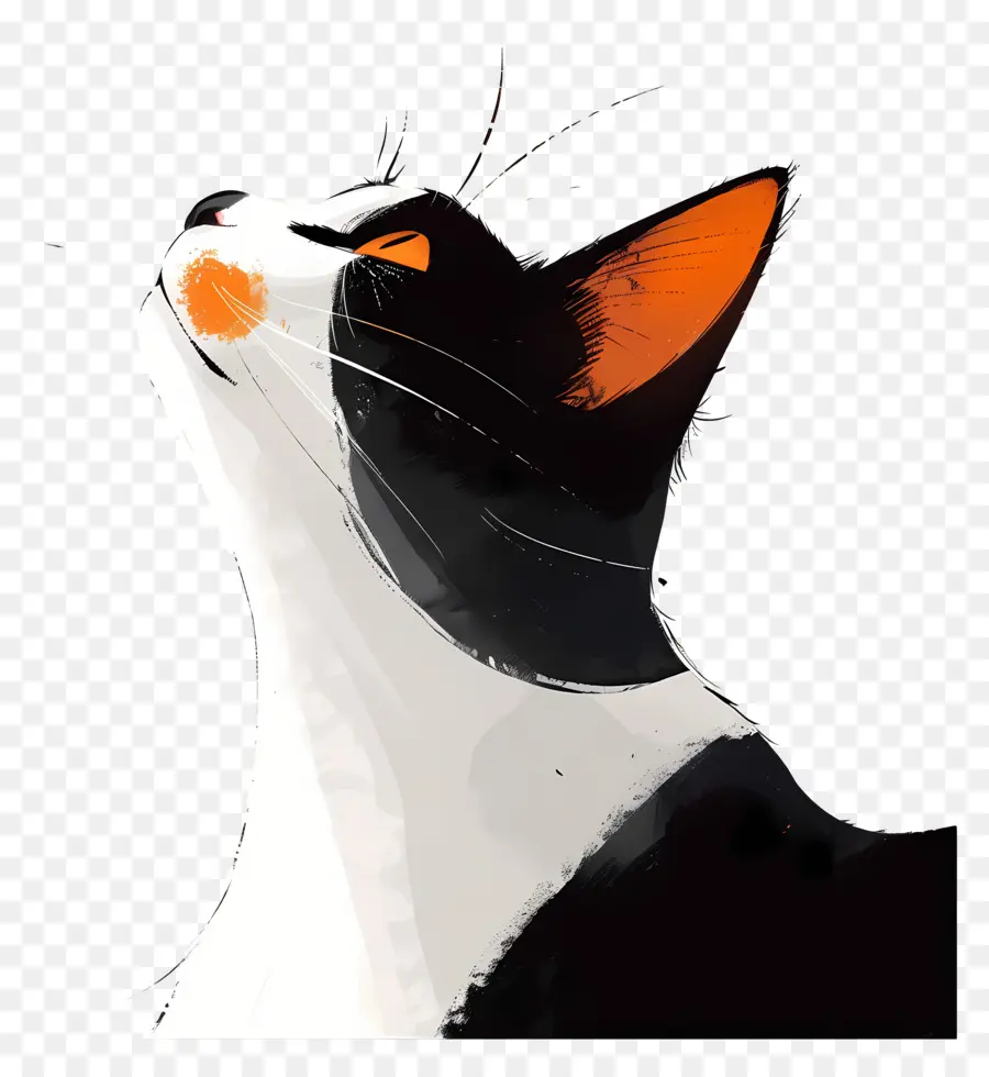 Gato，Gato Olhando Para Cima PNG