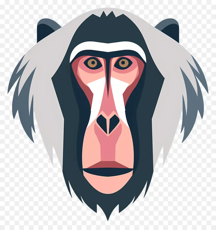 Cara De Babuíno，Mandril PNG