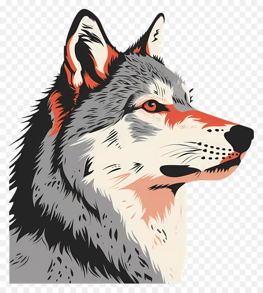 Lobo，Animais Selvagens PNG