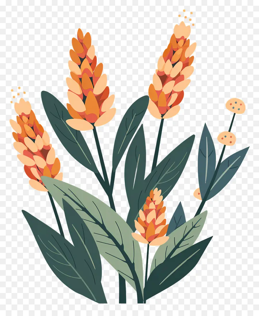 Plantar，Flores PNG