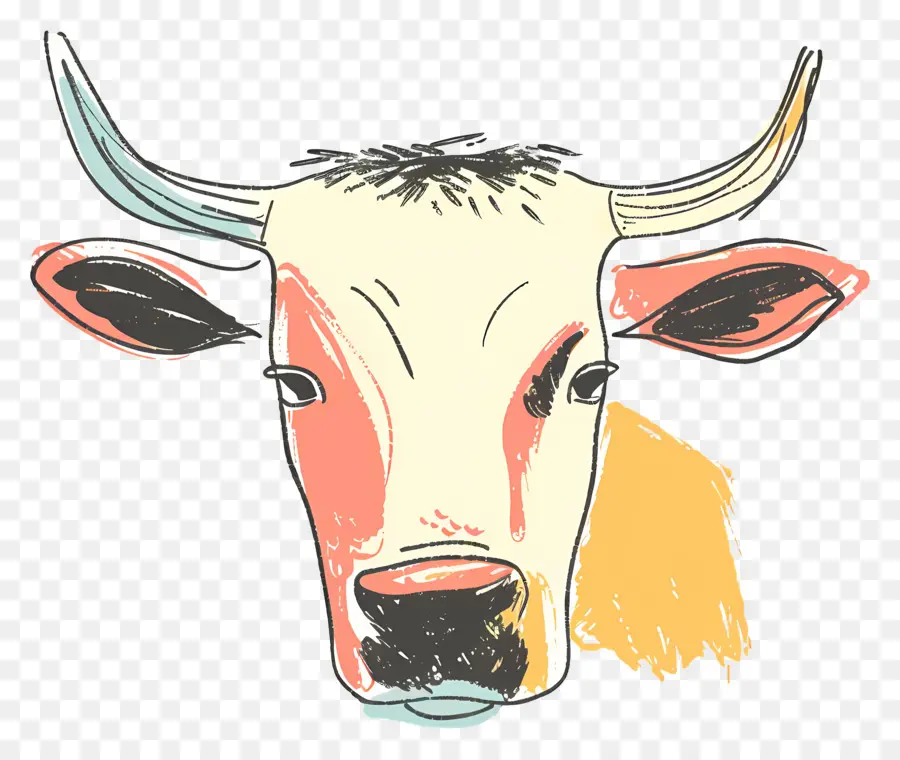 Cara De Touro，Cabeça De Vaca PNG