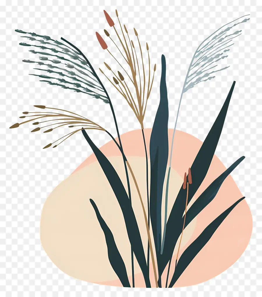 Arroz，Plantas Abstratas PNG