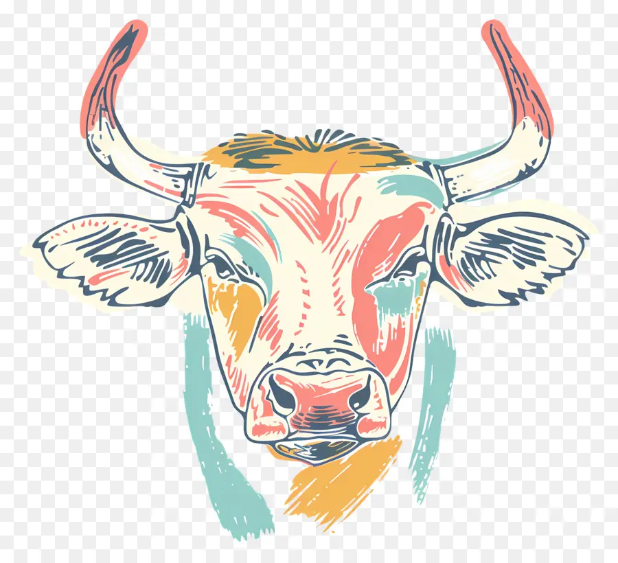 Cara De Touro，Vaca Colorida PNG