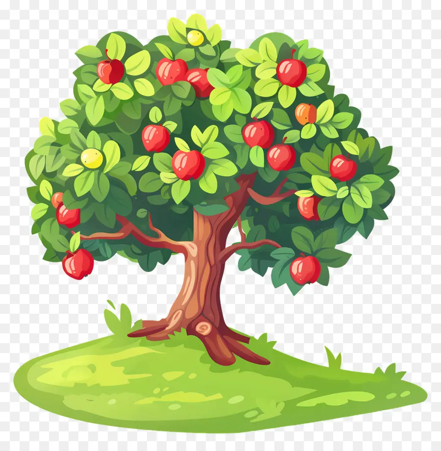 Macieira，Fruta PNG