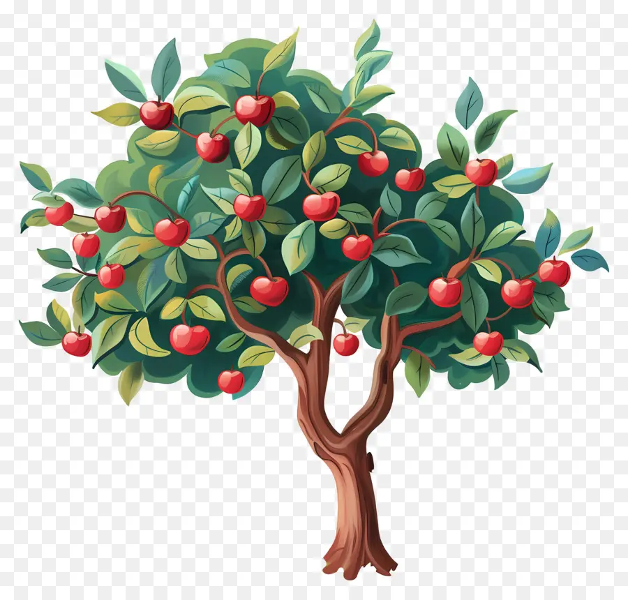 Macieira，Fruta PNG