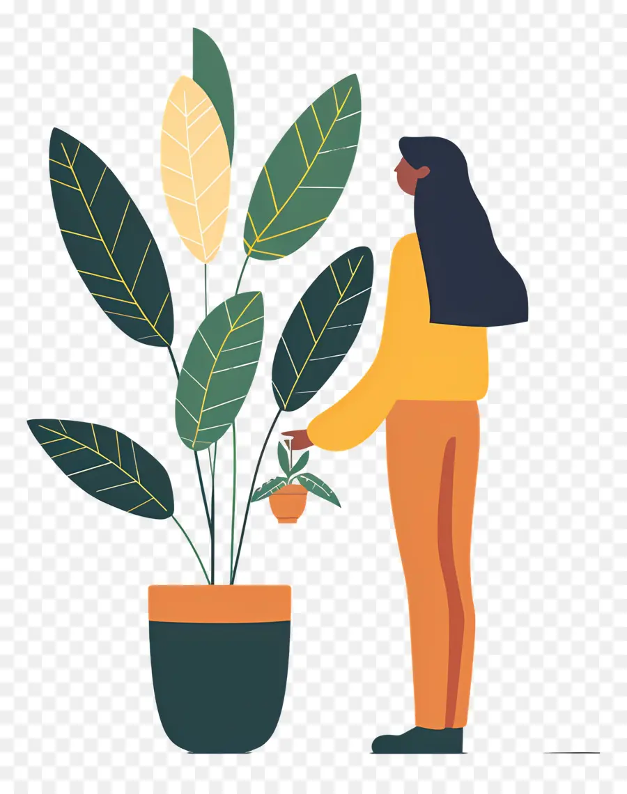 Menina Segurando Planta De Casa，Pessoa Com Planta PNG