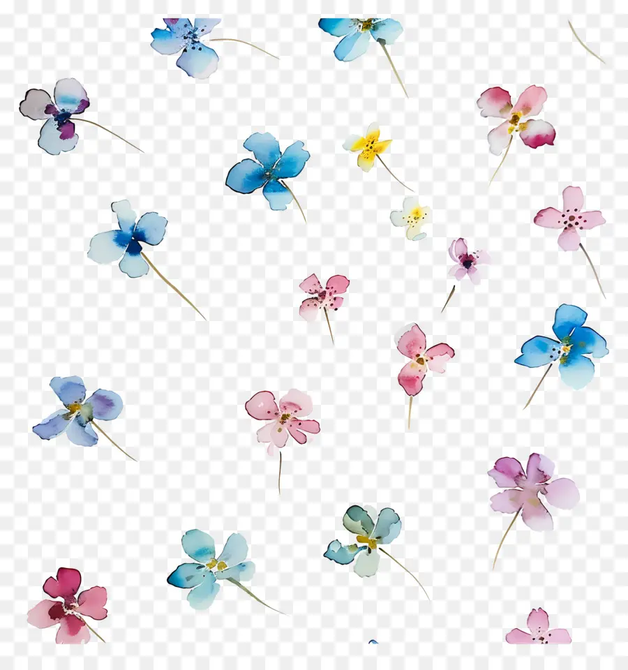 Pequenas Flores，Flores Em Aquarela PNG